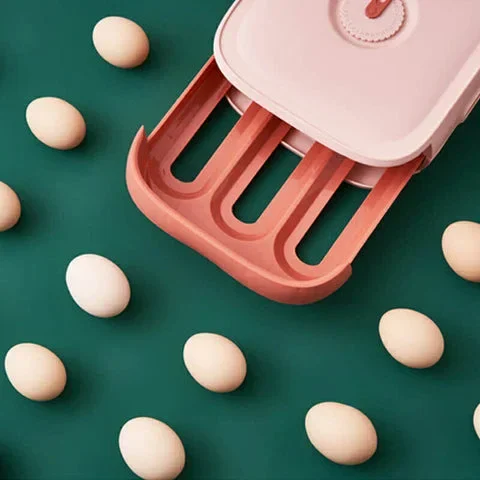 Egg Storage Box Features