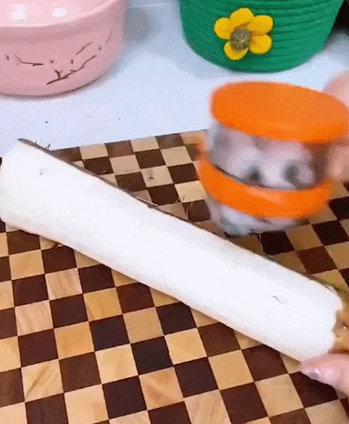 Vegetable peeler with container